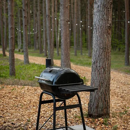 Villa Torgu Kuningriigi Palee Rahuste